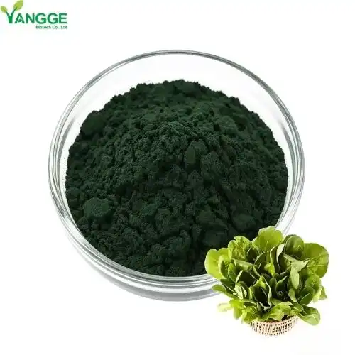 Does chlorophyll help with bloating